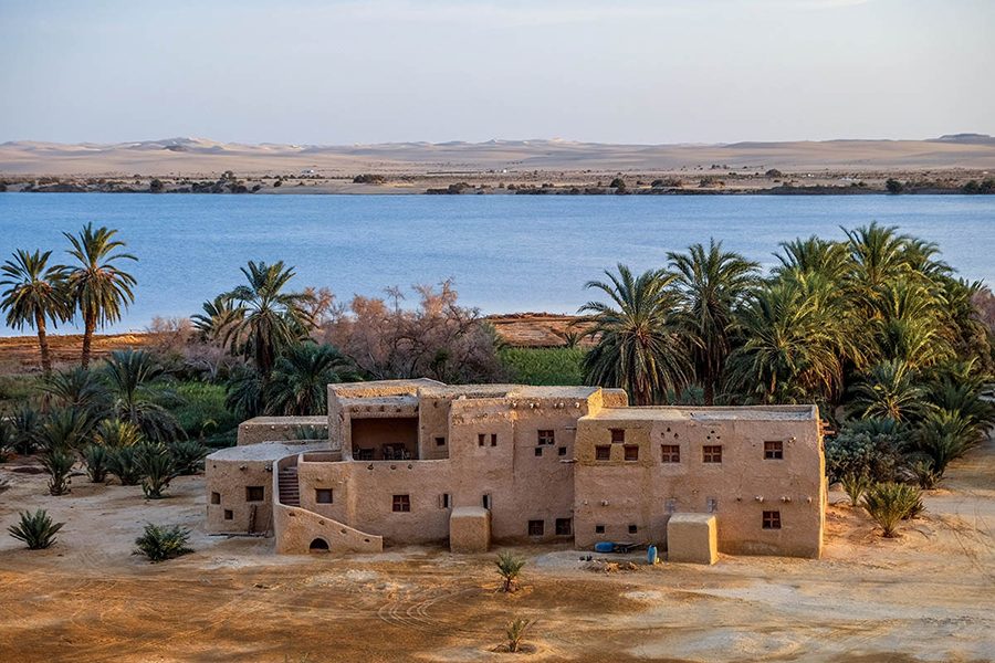 siwa-oasis