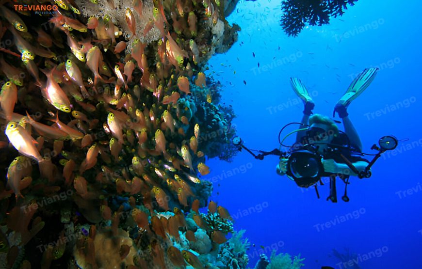 10 Days Cairo & Luxor & Hurghada