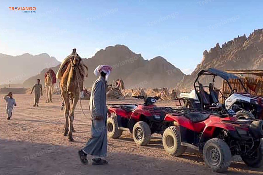 Sharm El Sheikh egypt Tours