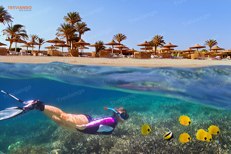 Sharm El Sheikh egypt Tours