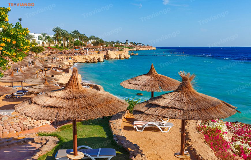 15-Day Egypt Journey Through History, Culture & Natural Wonders
