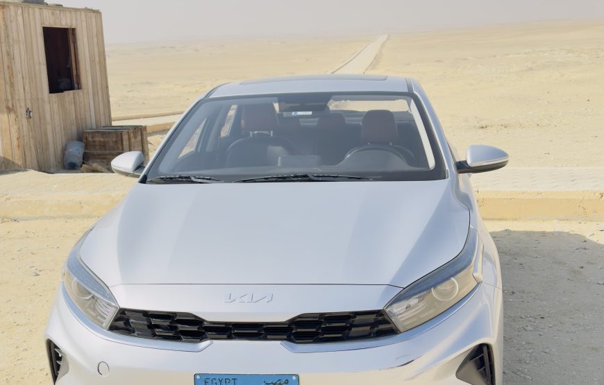 Cairo Private English Speaking Driver In 12 Hours Service