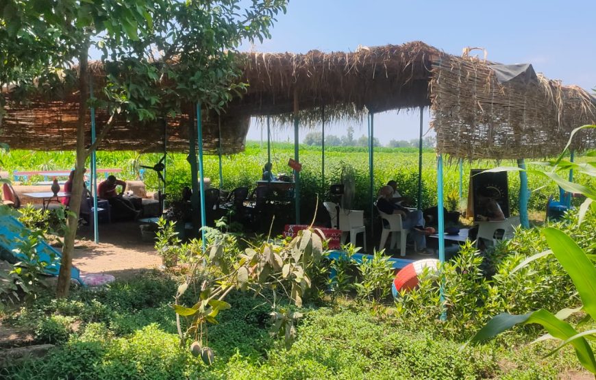 Authentic Egyptian Countryside Experience: Nile Delta Farm Life Day Tour from Cairo